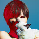 SHEENA RINGO